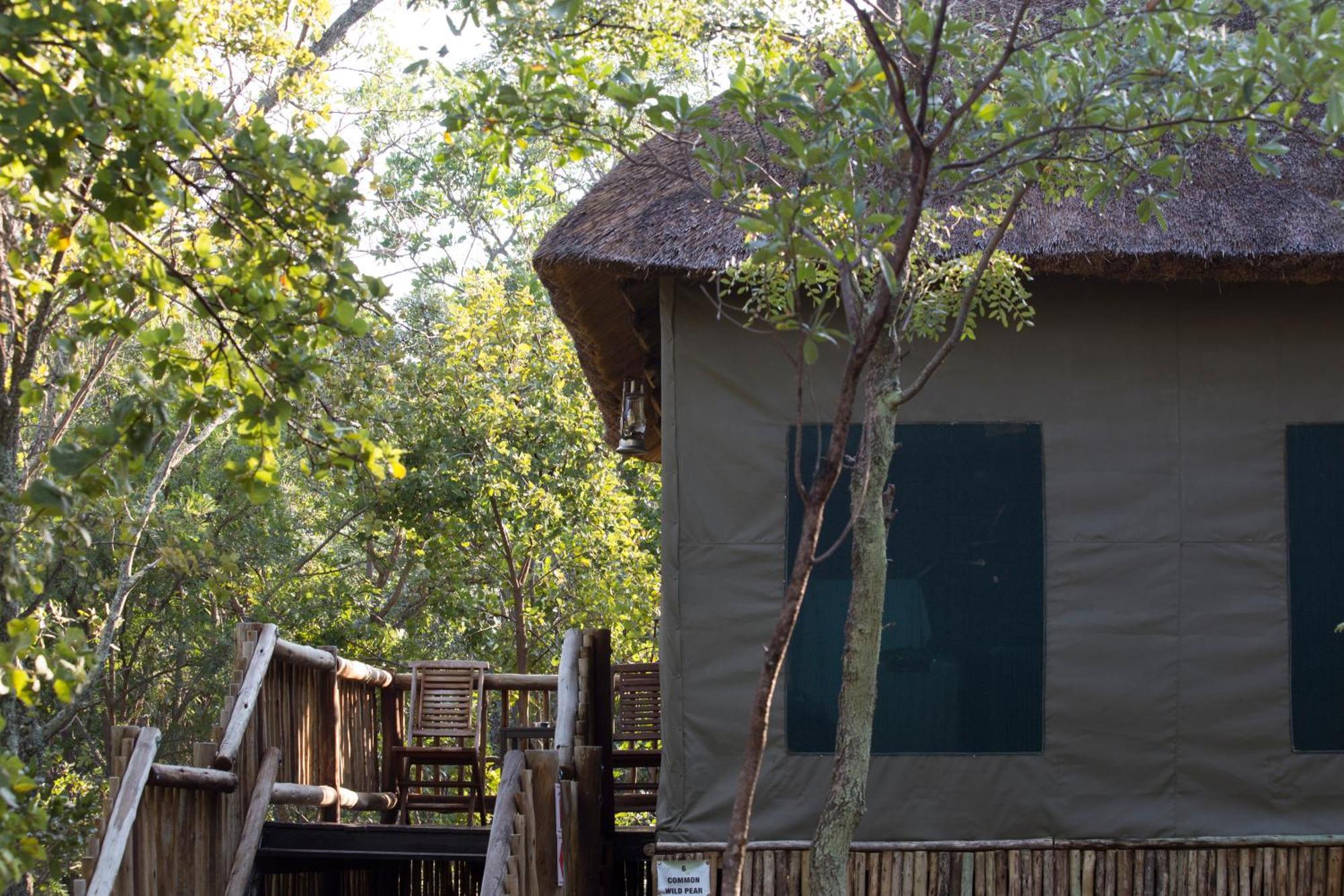 Hotel Honeyguide Ranger Camp Golders Green Habitación foto